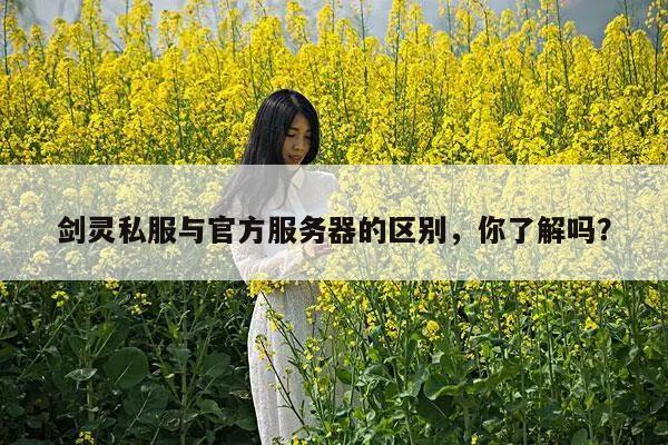 剑灵私服与官方服务器的区别，你了解吗？