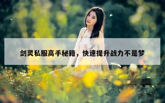剑灵私服高手秘籍，快速提升战力不是梦