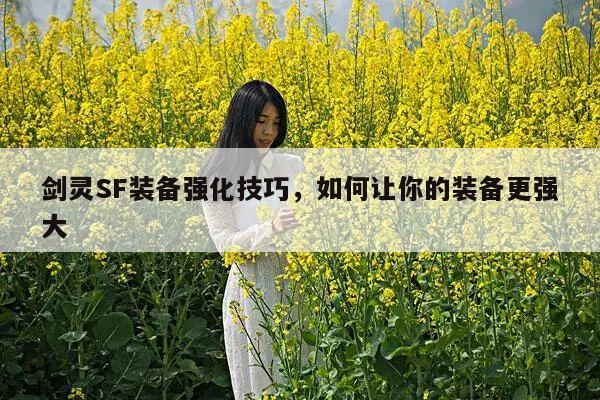 剑灵SF装备强化技巧，如何让你的装备更强大