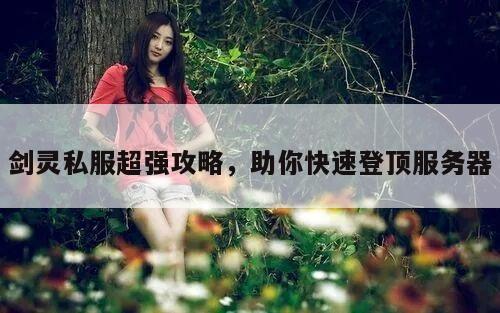 剑灵私服超强攻略，助你快速登顶服务器