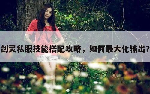 剑灵私服技能搭配攻略，如何最大化输出？