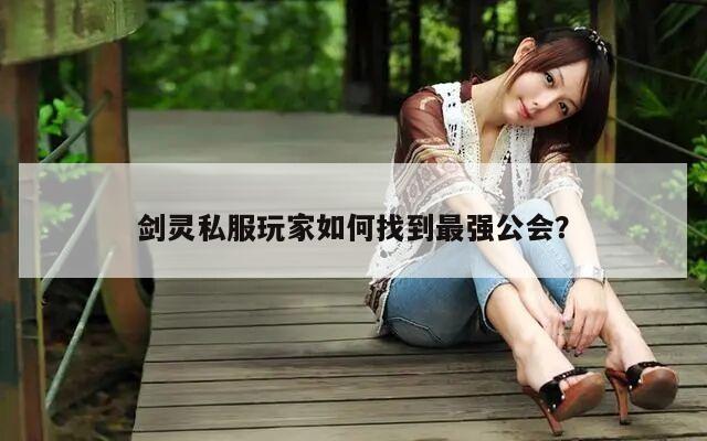 剑灵私服玩家如何找到最强公会？